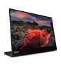Lenovo ThinkVision M14t pantalla para PC 35,6 cm (14