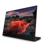 Lenovo ThinkVision M14t pantalla para PC 35,6 cm (14