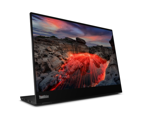 Lenovo ThinkVision M14t pantalla para PC 35,6 cm (14