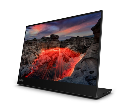 Lenovo ThinkVision M14t pantalla para PC 35,6 cm (14