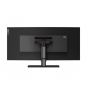 Lenovo ThinkVision P40w-20 100,8 cm (39.7