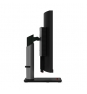 Lenovo ThinkVision P40w-20 100,8 cm (39.7