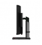 Lenovo ThinkVision P40w-20 100,8 cm (39.7