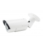 LevelOne FCS-5060 cámara de vigilancia Cámara de seguridad IP Interior y exterior Bala 1920 x 1080 Pixeles Techo/pared