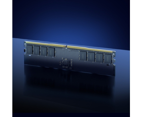 Lexar LD5U16G56C46ST-BGS módulo de memoria 16 GB 1 x 16 GB DDR5