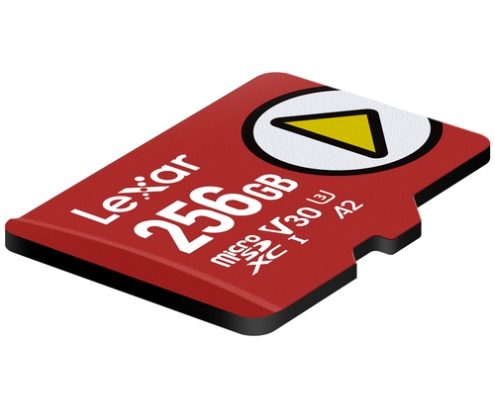 Lexar LMSPLAY256G-BNSNG memoria flash 256 GB MicroSDXC UHS-I Clase 10