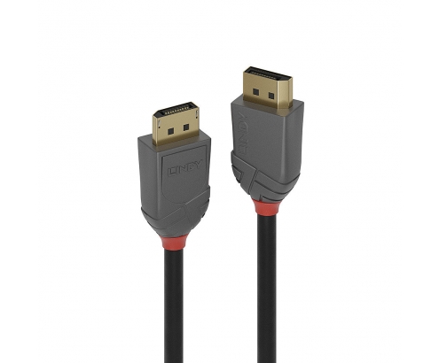 Lindy 36486 cable DisplayPort 10 m Negro