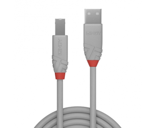 Lindy 36683 cable USB 2 m USB 2.0 USB A USB B Gris