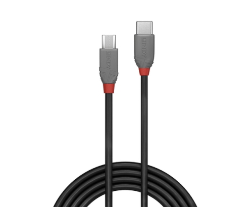 Lindy 36892 cable USB USB 2.0 2 m USB C Micro-USB B Negro, Gris