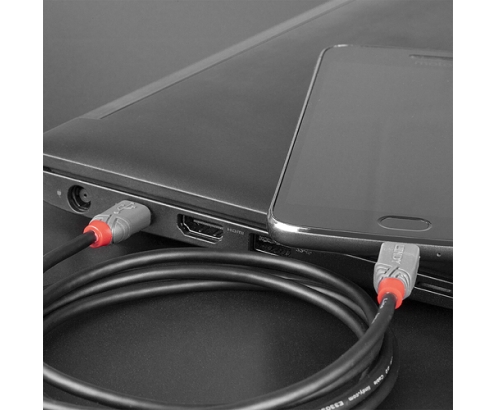 Lindy 36892 cable USB USB 2.0 2 m USB C Micro-USB B Negro, Gris