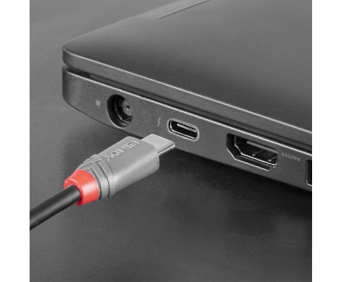 Lindy 36892 cable USB USB 2.0 2 m USB C Micro-USB B Negro, Gris