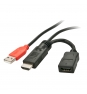 Lindy 41080 Adaptador gráfico USB Negro, Rojo