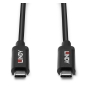 Lindy 43348 cable USB USB 3.2 Gen 2 (3.1 Gen 2) 3 m USB C Negro