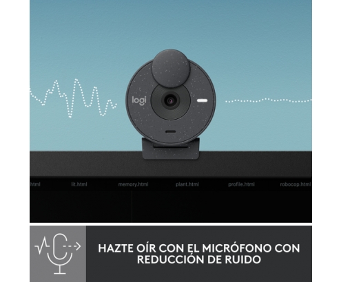 Logitech Brio 300 cámara web 2 MP 1920 x 1080 Pixeles USB-C Grafito
