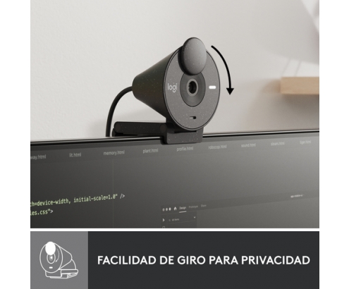 Logitech Brio 300 cámara web 2 MP 1920 x 1080 Pixeles USB-C Grafito