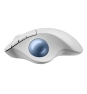 Logitech Ergo M575S ratón Oficina mano derecha RF Wireless + Bluetooth Trackball 2000 DPI