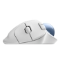 Logitech Ergo M575S ratón Oficina mano derecha RF Wireless + Bluetooth Trackball 2000 DPI