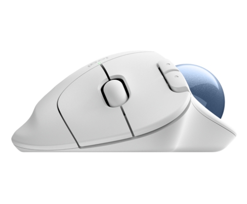 Logitech Ergo M575S ratón Oficina mano derecha RF Wireless + Bluetooth Trackball 2000 DPI