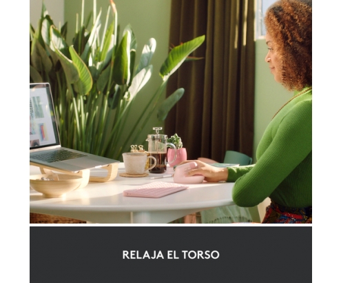 Logitech Lift ratón mano derecha RF inalámbrica + Bluetooth Í“ptico 4000 DPI