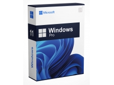 MICROSOFT WINDOWS 11 PRO 64BIT DSP DVD