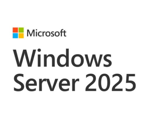 Microsoft Windows Server 2025 Standard 1 licencia(s)