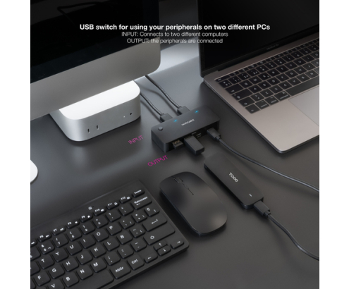Nanocable Switch Conmutador 2x USB 3.0 a 2xUSB-A 3.0 + 2x USB-C 3.0