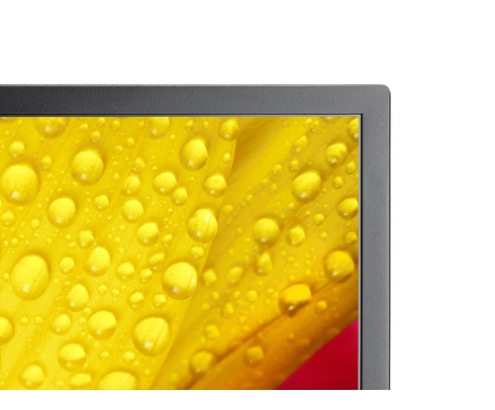 NEC MultiSync M551-2 Diseño de quiosco 127 cm (50