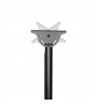 Neomounts by Newstar Select Soporte de techo para TV