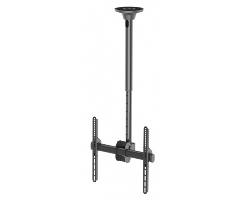 Neomounts by Newstar Select Soporte de techo para TV