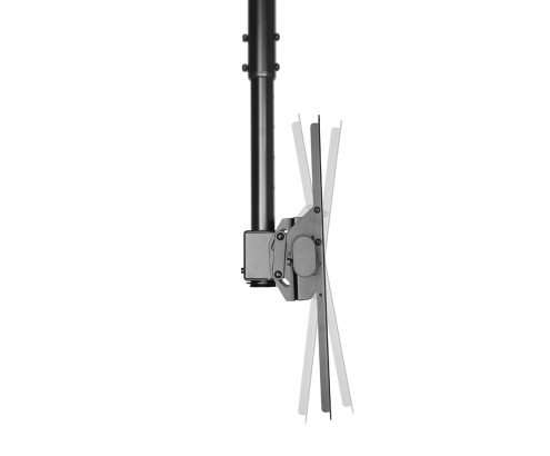 Neomounts by Newstar Select Soporte de techo para TV