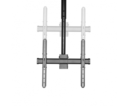 Neomounts by Newstar Select Soporte de techo para TV