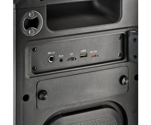 NGS WILD BASH COMPACT Altavoz para fiestas Negro 40 W