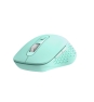 Nilox RATON DUAL WIRELESS 1600 DPI VERDE ratón Oficina Bluetooth + USB Type-A Óptico