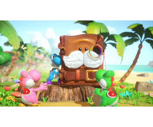 Nintendo Yoshi and the Mysterious Book Estándar Nintendo Switch 2