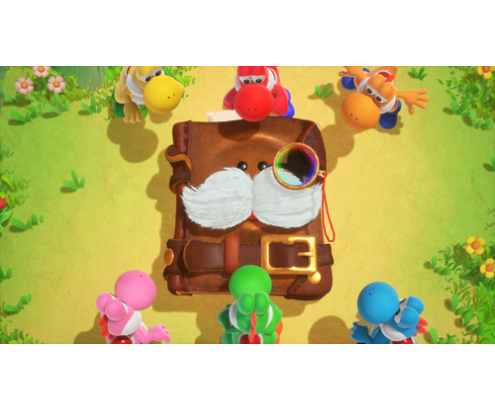 Nintendo Yoshi and the Mysterious Book Estándar Nintendo Switch 2