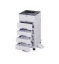 OKI B513dn 1200 x 1200 DPI A4