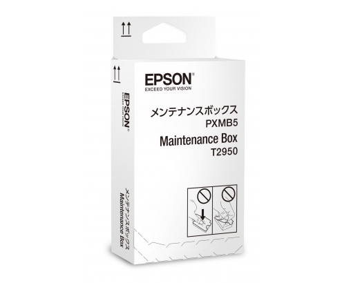 PACK MANTENIMIENTO EPSON T2950 WORKFORCE WF 100W COLECTOR DE TONER USADO NEGRO C13T295000