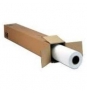 Papel Epson PelÍ­cula MetallicProof&reg; de 24 C13S042377
