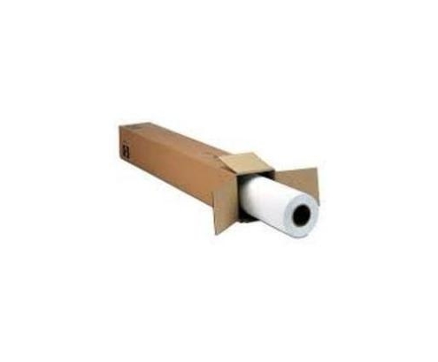 Papel Epson PelÍ­cula MetallicProof&reg; de 24 C13S042377