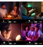 Philips Hue White and Color ambiance Lámpara portátil Go (último modelo)