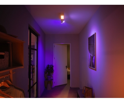 Philips Hue White and Color ambiance Plafón Centris de dos focos