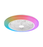 Philips Plafón ventilador Amilo 40 W (luz) +20 W (ventilador)