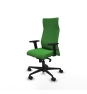 Piqueras y Crespo Albacete direcci?n sincro bali verde brazos 2D base nailon ruedas 65 nailon