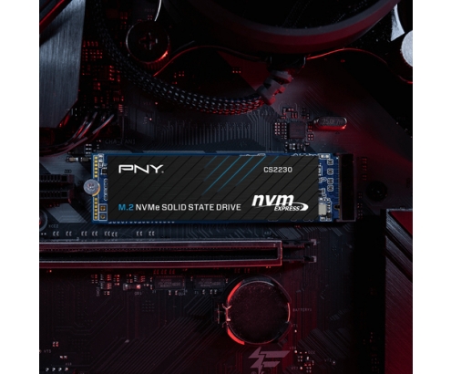 PNY CS2230 M.2 500 GB PCI Express 3.0 3D NAND NVMe