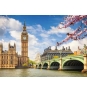Ravensburger 88777 puzzle Puzzle rompecabezas 1000 pieza(s) Ciudad