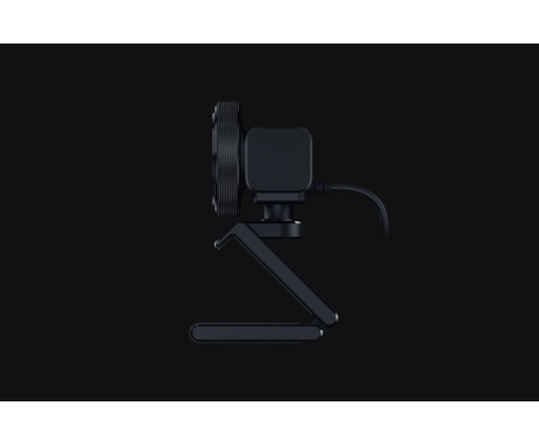 Razer Kiyo V2 X cámara web 3,7 MP 2560 x 1440 Pixeles USB Negro