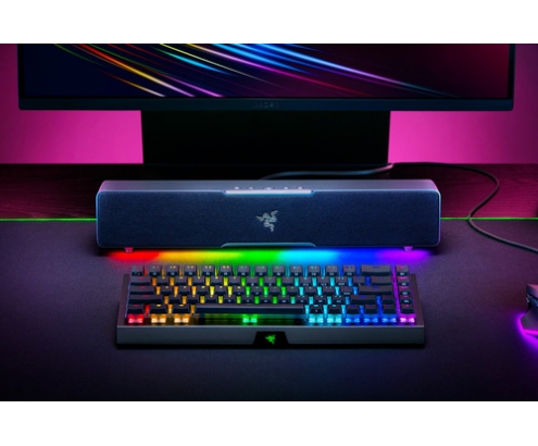 Razer Leviathan V2 X Negro