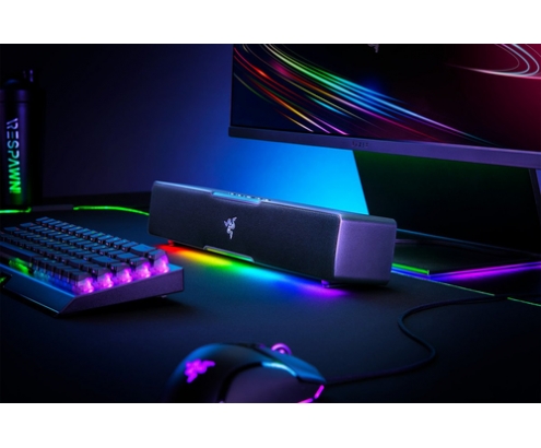 Razer Leviathan V2 X Negro