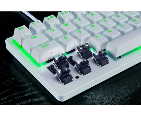 Razer RZ03-04981700-R3M1 teclado Juego USB QWERTY Inglés internacional Blanco