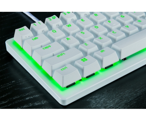 Razer RZ03-04981700-R3M1 teclado Juego USB QWERTY Inglés internacional Blanco